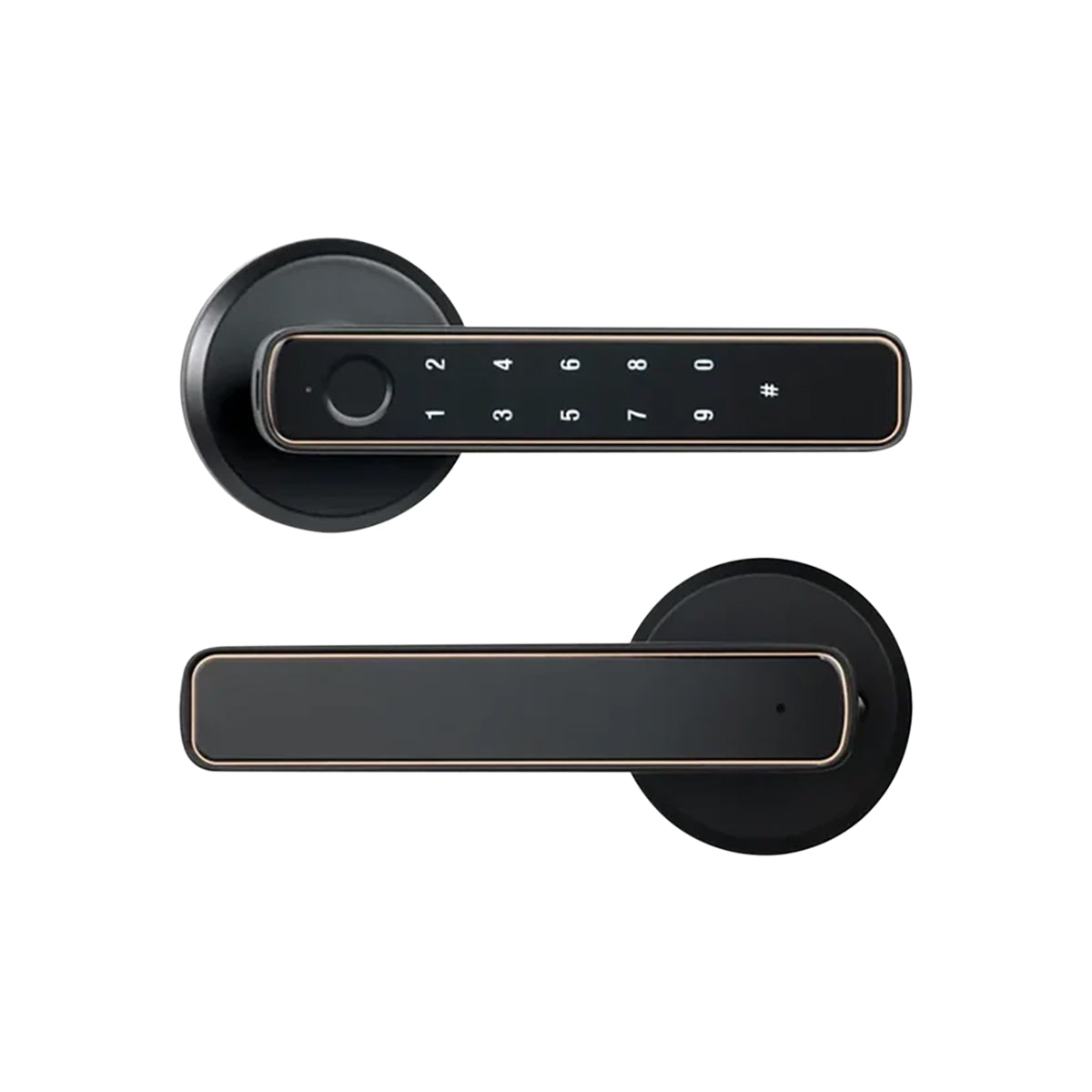 Tuya Bluetooth Fingerprint Door Lock