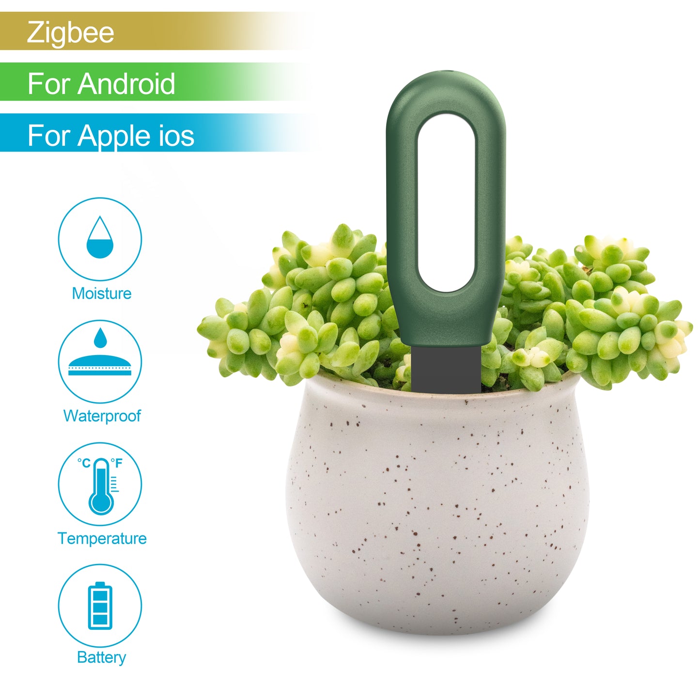 Smart Zigbee Soil Moisture Sensor – Plant & Temperature Monitor