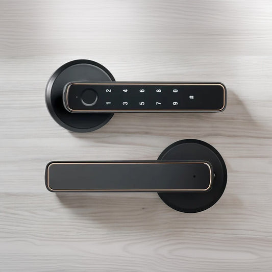 Tuya Bluetooth Fingerprint Door Lock
