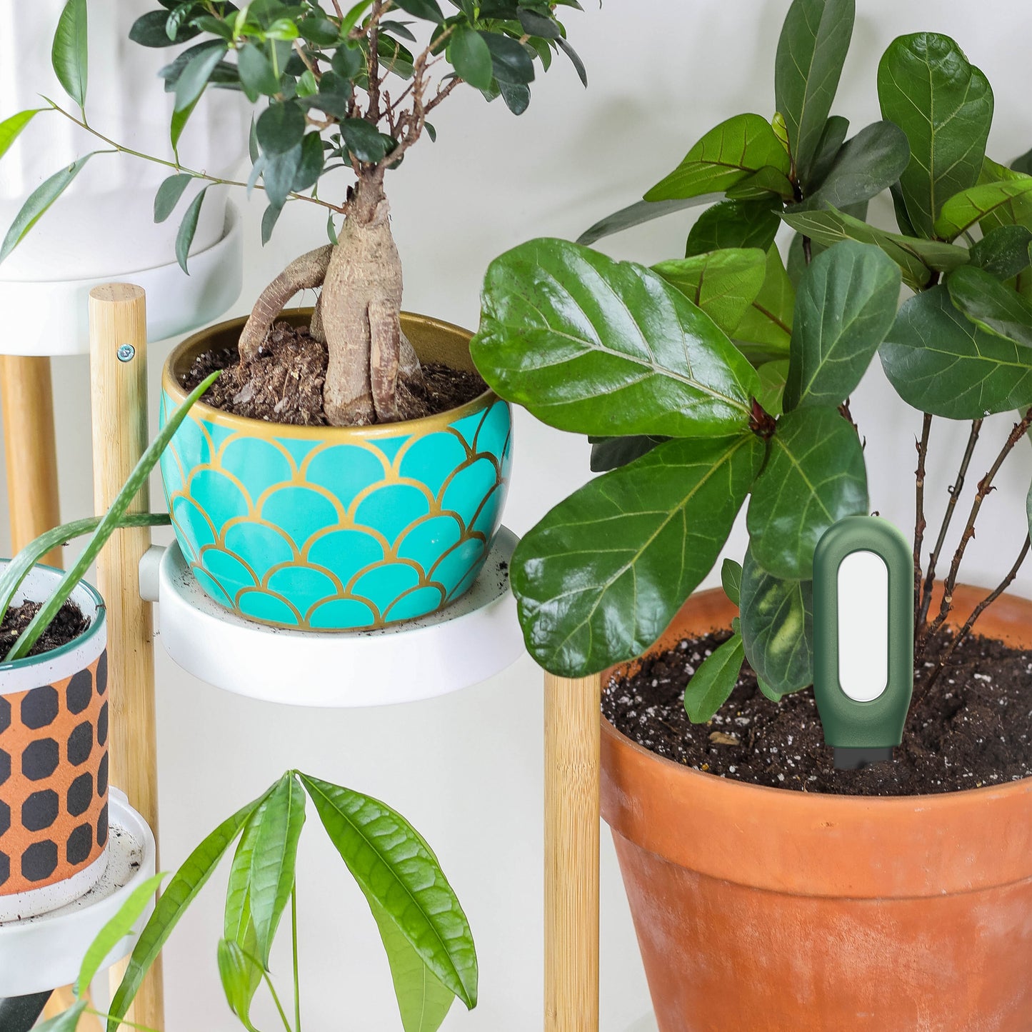 Smart Zigbee Soil Moisture Sensor – Plant & Temperature Monitor