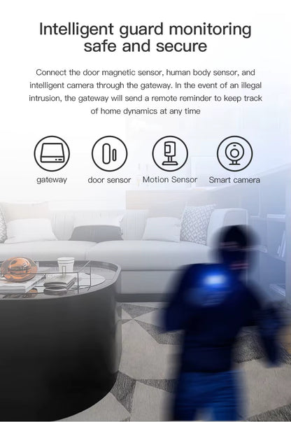 RSH ZigBee Smart Home Gateway Hub - Multi-Protocol Tuya Smart Home Controller with Alexa & Google Assistant Support